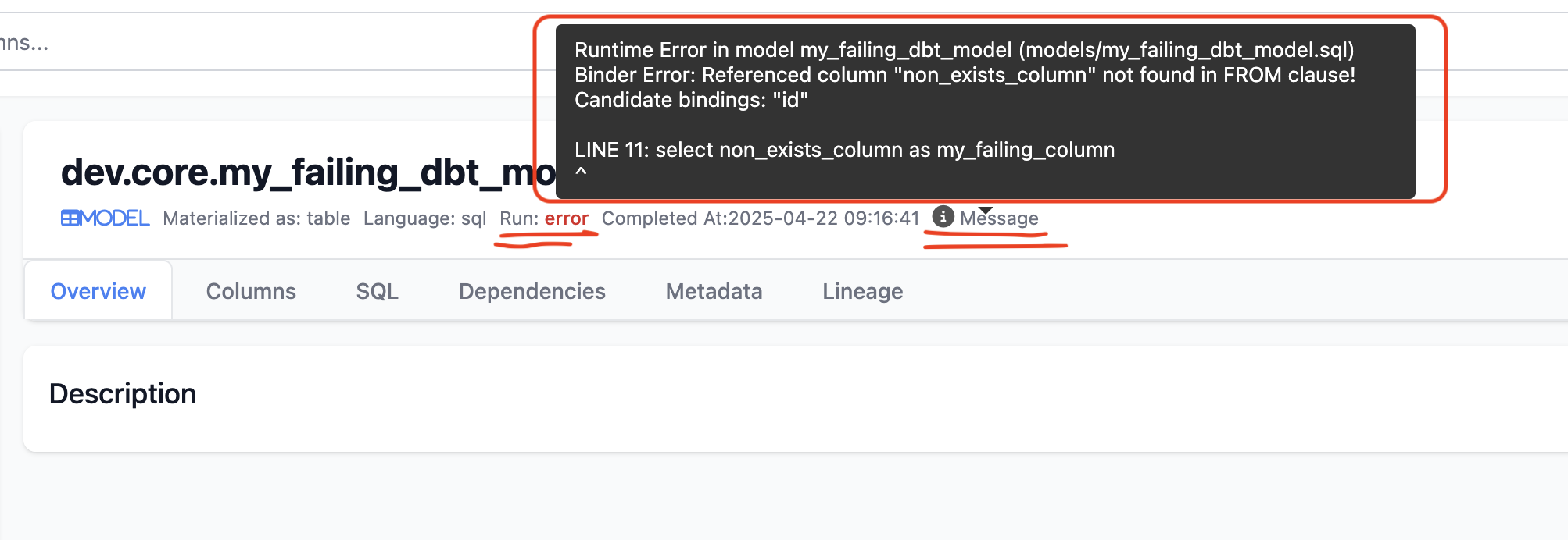 docs-run-info-error.png